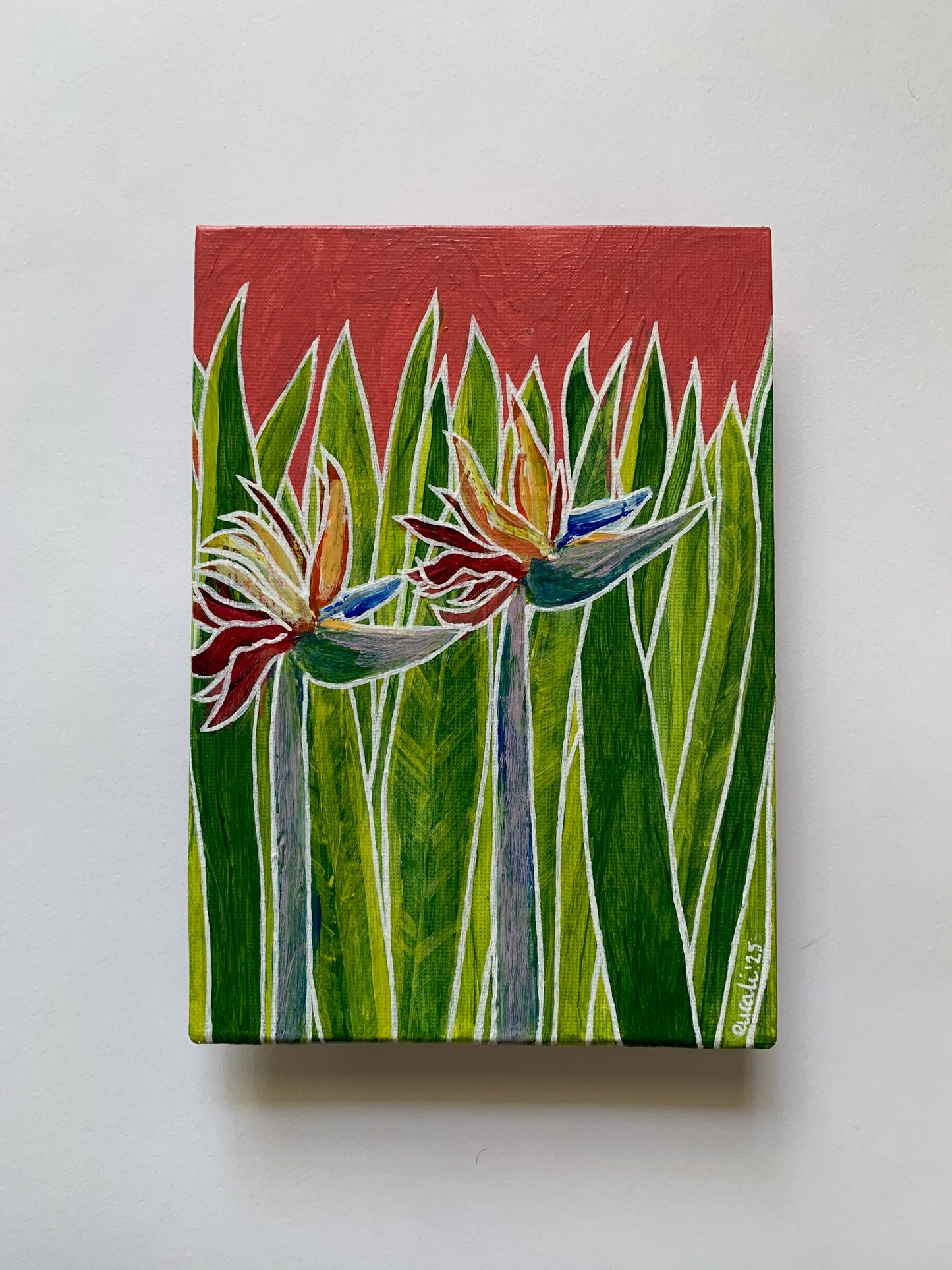 A pair of paradise (Birds of Paradise in Biggera Waters), 2025